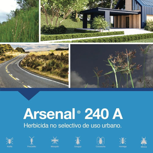 Herbicida Maleza Pastos Coquillo Arsenal Basf 240 A 956ml