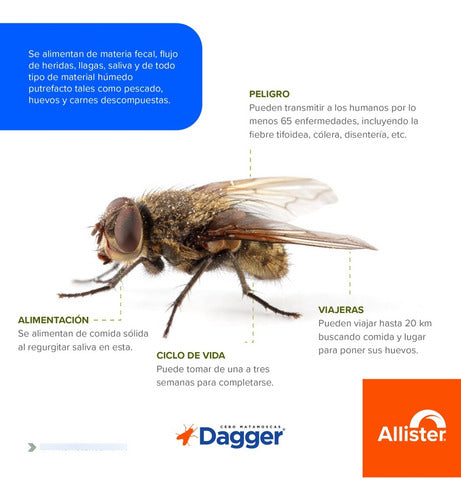 Insecticida Para Moscas Allister Dagger 1k Cebo Granulado