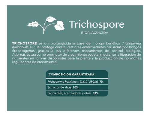 Trichoderma Fungicida Biologico Organico Trichospore 250gr
