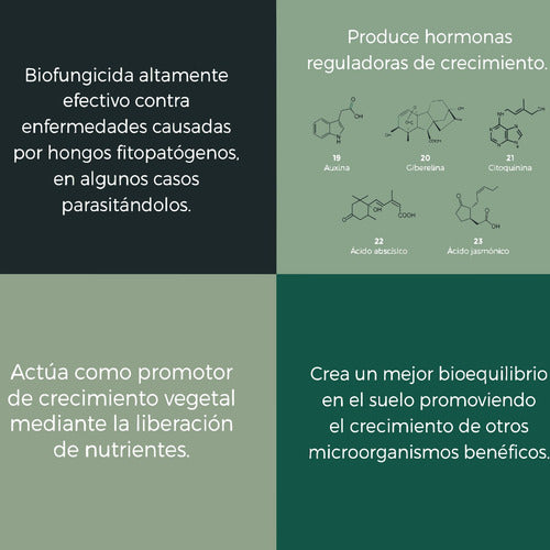 Trichoderma Fungicida Biologico Organico Trichospore 250gr