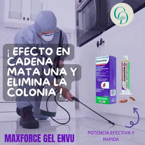 Maxforce Bayer 30gr Veneno Cucarachas Chica Y Gde 3 Pzas