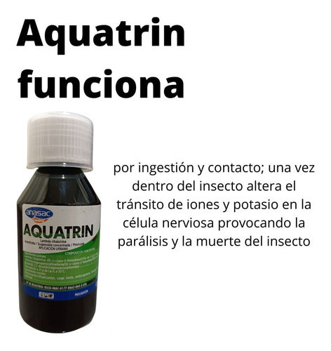 Veneno Para Moscas Mosquitos Mata Moscas Garantizado