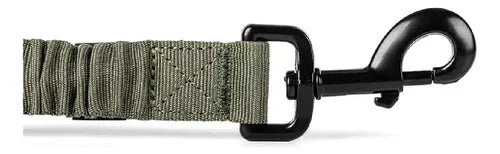 Correa Para Perro Mission Ready Mod Sage Green