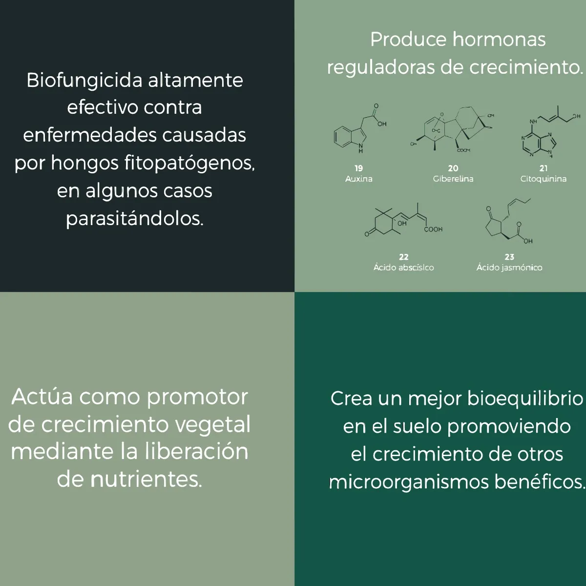 Trichoderma